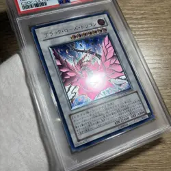 PSA8 Yugioh CSOC-JP039 Black Rose Dragon Ultimate Rare Japanese 2008 - Image 2