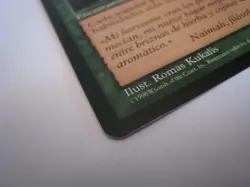 MTG Ciudad de la Soledad (City of Solitude) Visions LP Magic the Gathering - Image 3