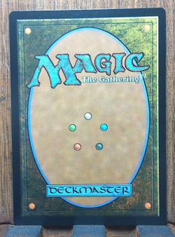 MTG💀 Deadly Dispute ( BORDERLESS Frazetta ) Secret Lair Drop NEAR MINT💕❤ - Image 3