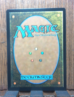 MTG💀 Deadly Dispute ( BORDERLESS Frazetta ) Secret Lair Drop NEAR MINT💕❤ - Image 4