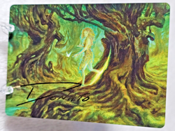 MTG Neverwinter Dryad Art Card Gold-Stamp Adventures in the Forgotten Realms NM - Image 1
