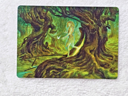 MTG Neverwinter Dryad Art Card Gold-Stamp Adventures in the Forgotten Realms NM - Image 2