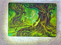 MTG Neverwinter Dryad Art Card Gold-Stamp Adventures in the Forgotten Realms NM - Image 3