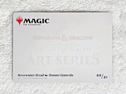MTG Neverwinter Dryad Art Card Gold-Stamp Adventures in the Forgotten Realms NM - Image 4