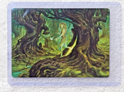 MTG Neverwinter Dryad Art Card Gold-Stamp Adventures in the Forgotten Realms NM - Image 5