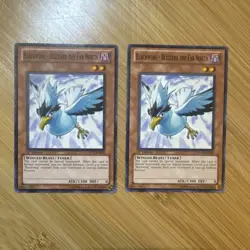 Yugioh! Blackwing - Blizzard the Far North x2 DP11-EN003 Common 1st Edition NM - Image 1