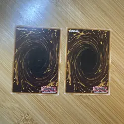 Yugioh! Blackwing - Blizzard the Far North x2 DP11-EN003 Common 1st Edition NM - Image 2