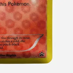 ‘s Tepig Box Jumbo Oversized Promo Pokemon Card Lenticular 3D 2011 - LP-NM - Image 5