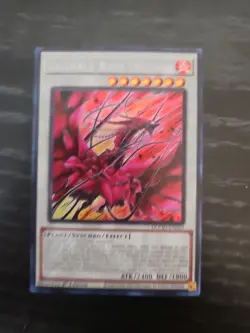 Yugioh Bramble Rose Dragon DOOD-EN039 Secret Rare 1st Ed Near Mint - Image 1