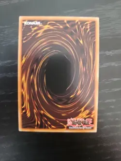 Dracotail Phryxul DOOD-EN023 1st Edition Secret Rare NM YUGIOH - Image 2