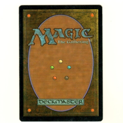 Animate Dead Foil Premium Deck Series Magic the Gathering Playset - Image 2