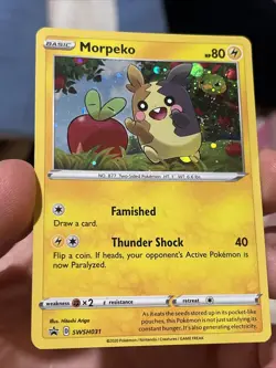 Pokemon TCG Morpeko SWSH Black Star Promo SWSH116 Holo Mint Chance Of Swirl - Image 1