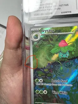 2023 Pokemon S&V 151 Ivysaur Illustration Rare 167/165 CGC 10 Gem Mint - Image 3