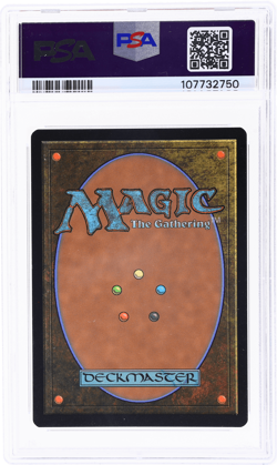 2020 Magic the Gathering Secret Lair Drop Forest Foil #573 PSA 7 - Image 2