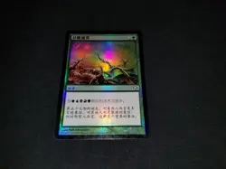 MTG 1x Fifth Dawn green uncommon MP Chinese FOIL Channel the Suns - Image 1