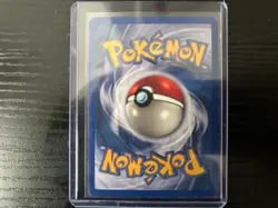 Swampert 13/109 EX Ruby & Sapphire Holo Rare E-Reader Pokemon 2003 NM/MT Card - Image 2