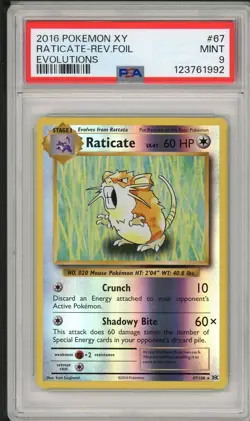 2016 Pokemon XY Evolutions Raticate Reverse Holo Foil #67 PSA 9 - Image 1