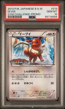 Pokemon Card Japanese Eevee 213/BW-P PSA 10 GEM MINT Gym Challenge Promo - Image 3