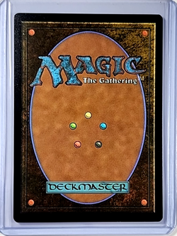 2024 MTG Magic the Gathering Secret Lair Borderless Foil #887 Enduring Ideal - Image 2