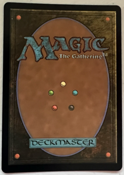 Silent Clearing (Borderless) Universes Beyond: Assassin's Creed Foil MTG - Image 2