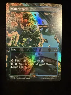 Waterlogged Grove (Borderless) #116 (Foil) (NM) Assassin's Creed ACR Magic MTG - Image 1