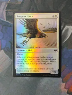 Tempest Hawk - Foil | Dragonstorm | NM | MTG - Image 1