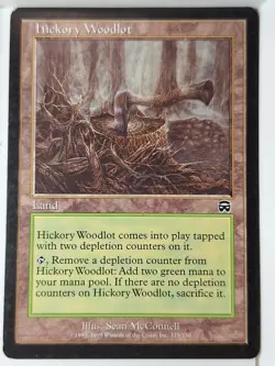 Hickory Woodlot - Mercadian Masques - Magic the Gathering MTG Nice! - Image 1