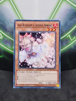 Yugioh Ash Blossom & Joyous Spring SDWD-EN017 Common 1st Edition NM - Image 1