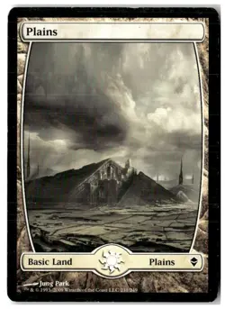 MTG Plains (231) - Full Art - Zendikar Heavily Played English Playset (x10) - Image 1