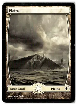 MTG Plains (231) - Full Art - Zendikar Heavily Played English Playset (x10) - Image 5
