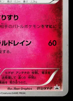 DEDENNE 013/XY-P XY PROMOS JAPANESE POKEMON TCG - Image 5
