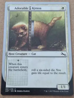 Adorable Kitten MTG Magic - Image 1