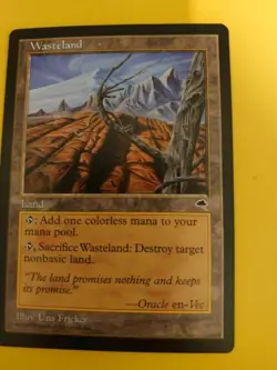 Wasteland Rare land Tempest. Old Vintage. Magic the Gathering Card. - Image 3