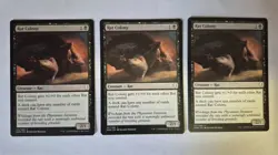 RAT COLONY x3 MTG DOMINARIA 2018 BLACK COMMON NM - Image 1