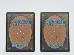 Legolas Master Archer Borderless/Showcase Magic the Gathering Lord of the Rings - Image 2