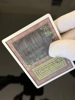 Magic the Gathering MTG Unlimited Bayou MP (Beta Bob) - Image 5