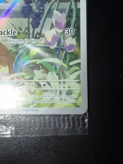 Pokemon TCG Obsidian Flames Charmander #044 SVP Black Star Promo Card, Sealed - Image 4