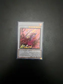 Yugioh Bramble Rose Dragon DOOD-EN039 Secret Rare 1st Ed NM - Image 1