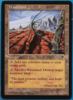Wasteland Tempest HEAVILY PLD Land Uncommon MAGIC MTG CARD (ID# 505937) ABUGames - Image 1