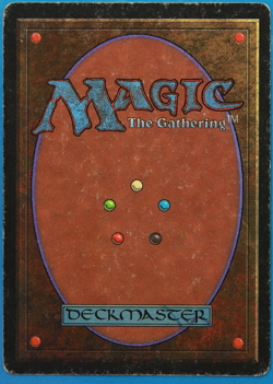 Tundra Revised HEAVILY PLD (Dual Land Reserved List MTG Card) (505929) ABUGames - Image 2