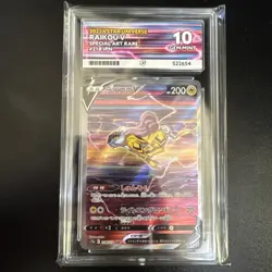 ACE 10 Raikou V 218/172 SAR Japanese Pokemon Card VSTAR Universe GEM MINT - Image 1