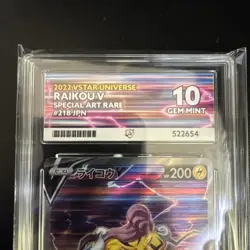 ACE 10 Raikou V 218/172 SAR Japanese Pokemon Card VSTAR Universe GEM MINT - Image 2