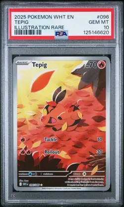 2025 POKEMON WHT EN-WHITE FLARE #096 TEPIG ILLUSTRATION RARE PSA 10 (Q620) - Image 1