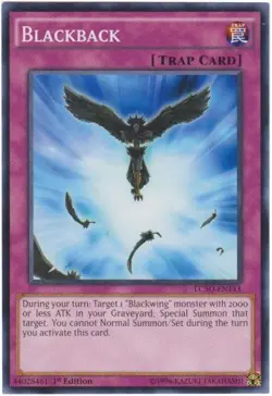 Yu-Gi-Oh! - Blackback (LC5D-EN143) - Legendary Collection 5Ds - Common - NM - Image 1