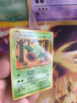 Pokemon Karte Card japanese expansion sheet vending glossy Weepinbell Nm-mint - Image 3