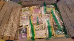 Pokemon Lot 5000+ Pokemon Cards Common/Uncommon 18 pds 2014 to 2023 - Image 4