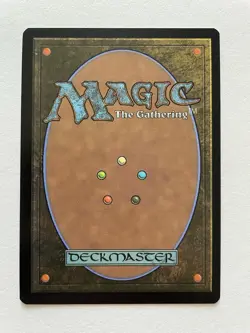 MTG Multiversal Passage BORDERLESS FOIL 0206 SPM - Image 2