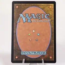 Rivendell Borderless Foil Universes Beyond Tales of Middle Earth LoTR MTG LP - Image 4