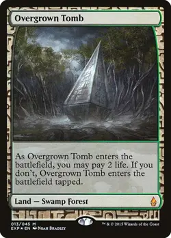 Overgrown Tomb - Foil Zendikar Expeditions LP MTG - Image 1