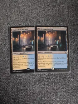 Meticulous Archive -Regular - Image 1